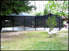 Bronze Pool Enclosure with attached screened-in area 